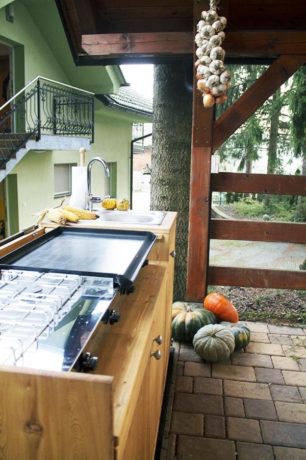 Apartma Pegaz โรกัชกา สลาทินา ภายนอก รูปภาพ
