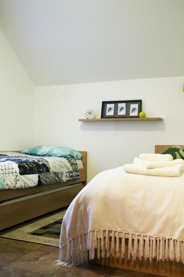 Apartma Pegaz โรกัชกา สลาทินา ภายนอก รูปภาพ