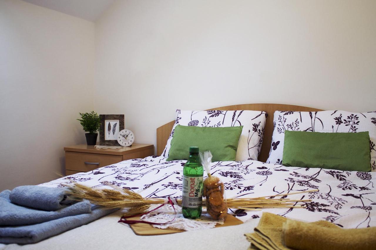 Apartma Pegaz โรกัชกา สลาทินา ภายนอก รูปภาพ