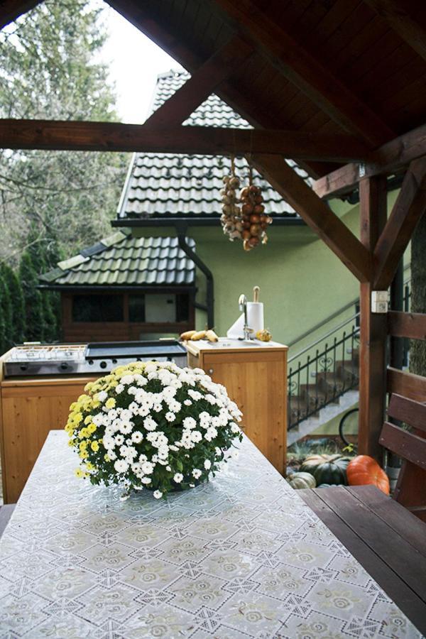 Apartma Pegaz โรกัชกา สลาทินา ภายนอก รูปภาพ